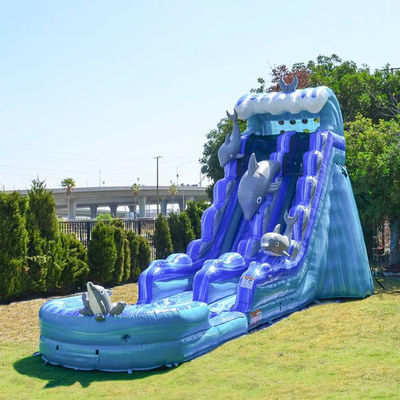 Detachable Pool Inflatable Slip n Slide for Children and Adults at Summer Water Park