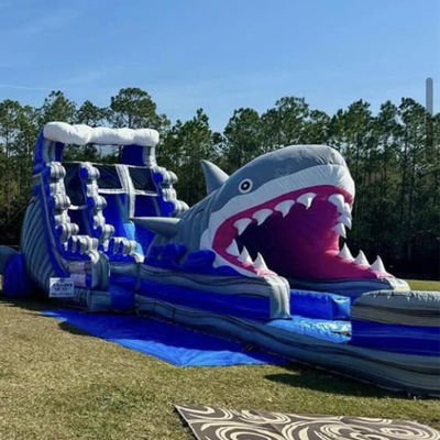 Customized Size Inflatable Water Slide with Big Shark Slip n Slide and Swimming Pool