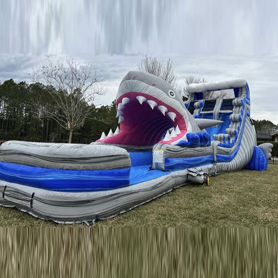 Customized Size Inflatable Water Slide with Big Shark Slip n Slide and Swimming Pool