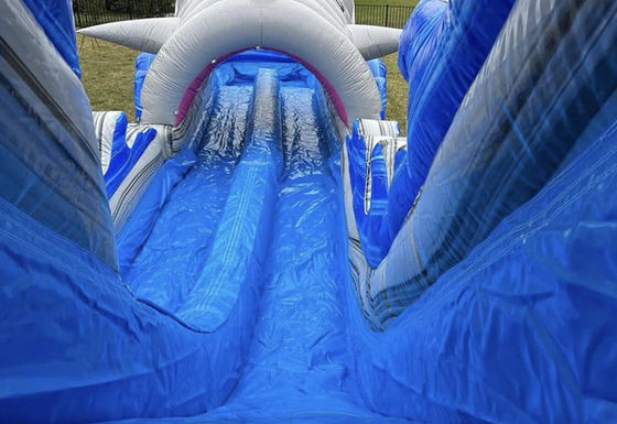 Customized Size Inflatable Water Slide with Big Shark Slip n Slide and Swimming Pool