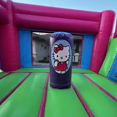 PVC Cartoon Pink Inflatable Bouncer House Slide with CE/EN71/EN14960 Certificate