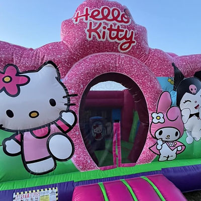 PVC Cartoon Pink Inflatable Bouncer House Slide with CE/EN71/EN14960 Certificate