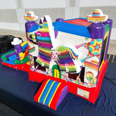 PORTABLE PVC Rainbow Puppy Inflatable Bounce House with Slide Combo Pool Jumpers Castle