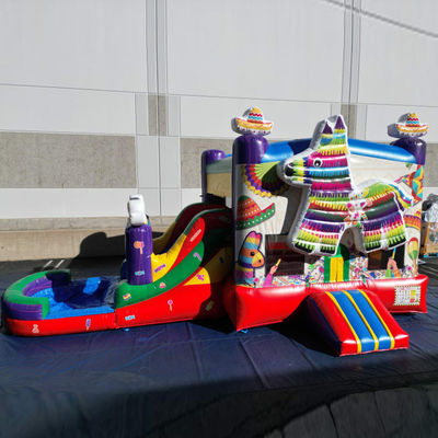 PORTABLE PVC Rainbow Puppy Inflatable Bounce House with Slide Combo Pool Jumpers Castle