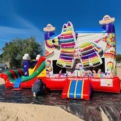 PORTABLE PVC Rainbow Puppy Inflatable Bounce House with Slide Combo Pool Jumpers Castle