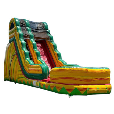 Adult Size Commercial PVC Jungle Symphony Water Slide Inflatable with Swimming Pool