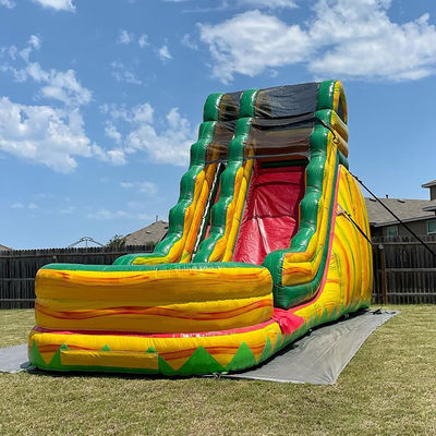 Adult Size Commercial PVC Jungle Symphony Water Slide Inflatable with Swimming Pool