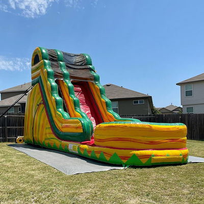 Adult Size Commercial PVC Jungle Symphony Water Slide Inflatable with Swimming Pool