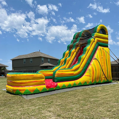 Adult Size Commercial PVC Jungle Symphony Water Slide Inflatable with Swimming Pool