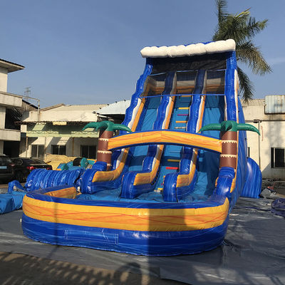 Customized Size Commercial PVC Water Slide Inflatable with Pool and Removable Ladder