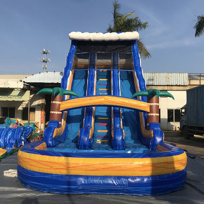 Customized Size Commercial PVC Water Slide Inflatable with Pool and Removable Ladder