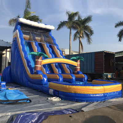 Customized Size Commercial PVC Water Slide Inflatable with Pool and Removable Ladder