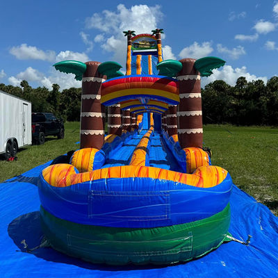 Extra Long Palm Tree Inflatable Slide Combo with Pool Must-Experience at Aquatic Park