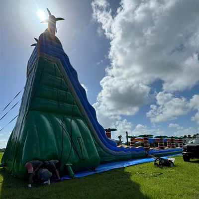 Extra Long Palm Tree Inflatable Slide Combo with Pool Must-Experience at Aquatic Park