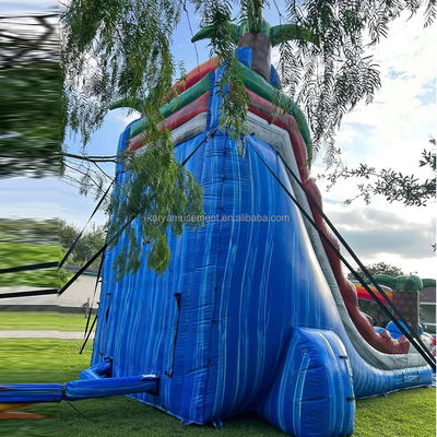 Extended Double Slide Red Thrilling Inflatable Combo Jumping Castle for Aquatic Park