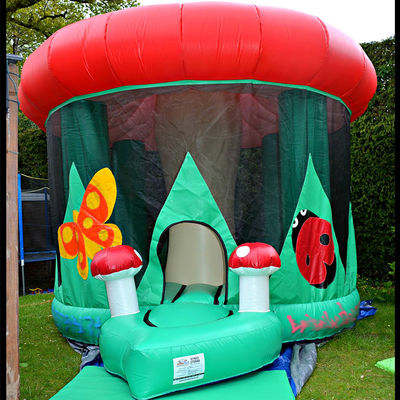 Small Commercial PVC Mushroom House Castle Inflatable Bounce House for 14 Years up