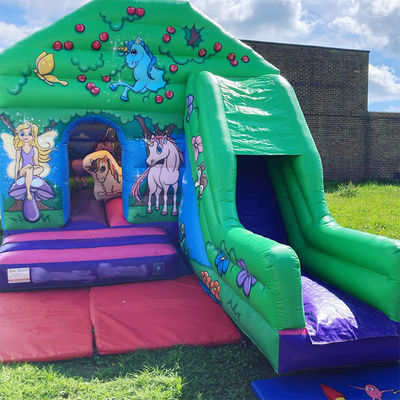 0.55mm PVC Vinyl Tarpaulin Bouncer House with Slide Indoor and Outdoor Entertainment