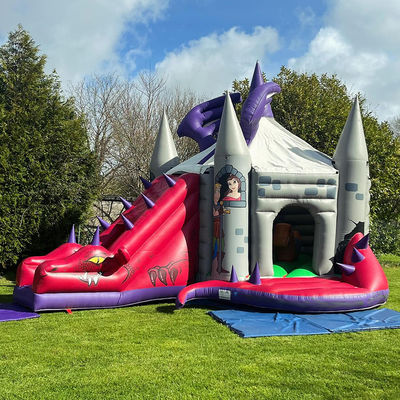 Red Dinosaur Bouncy Castle with Slide How to Train Your Dragon Inflatable Bounce House