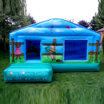 Commercial Kids Picnic Trampoline with Blue Inflatable Bouncing Castle and Ball Pit