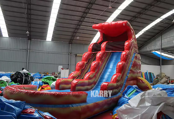 Colorful Commercial Inflatable Water Slide and Swimming Pool for Water Park Amusement