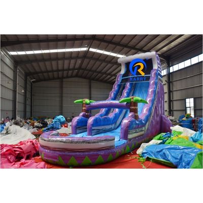 Customized Colorful PVC Inflatable Water Slide With Swimming Pool For Summer Fun