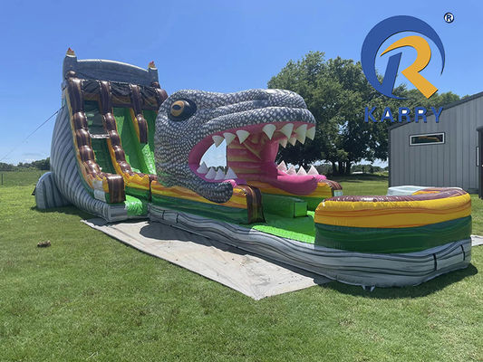 Large Adults and Kids Size Inflatable Backyard Slides with Pool