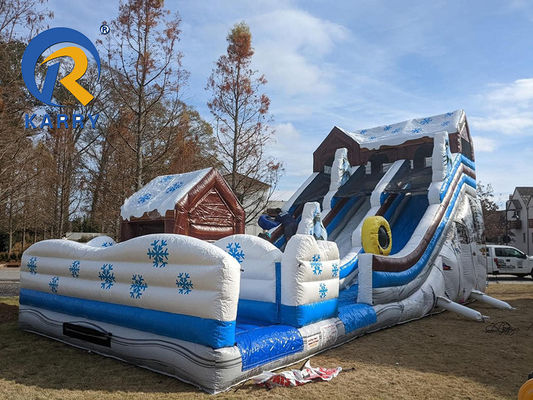 PVC Tarpaulin Inflatable Water Slide for Adults and Kids Customized Logo/Pattern