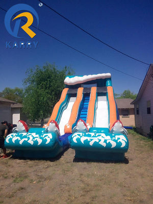 PVC Tarpaulin Inflatable Water Slide for Adults and Kids Customized Logo/Pattern