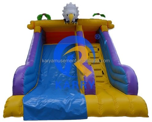 Unisex Inflatable Water Slide Bouncing House Commercial Bouncy House for Children