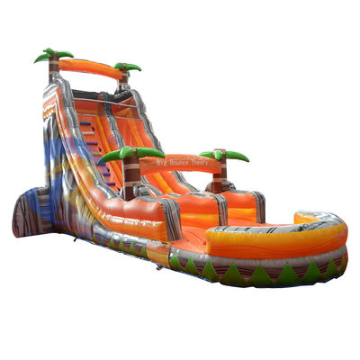 Commercial Event Promotion Orange Palm Inflatable Water Slide with Pool and More