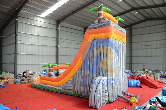 Commercial Event Promotion Orange Palm Inflatable Water Slide with Pool and More