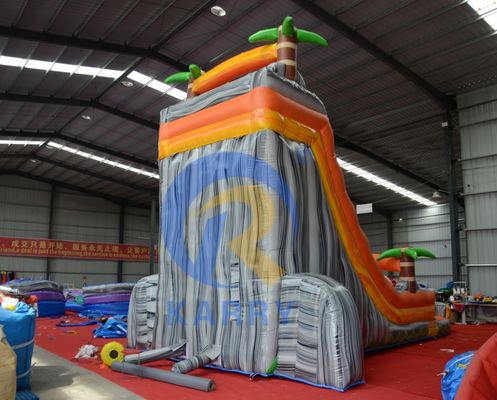 Commercial Event Promotion Orange Palm Inflatable Water Slide with Pool and More