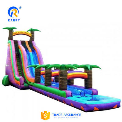 Max Capacity 100-500kg PVC Inflatable Water Slide for Kids' Commercial Activities