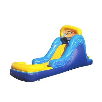 Max Capacity 100-500kg PVC Inflatable Water Slide for Kids' Commercial Activities