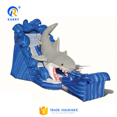 Custom Logo Printed Large Long Slide Inflatable Pool Slide Combo for Outdoor Fun Combo
