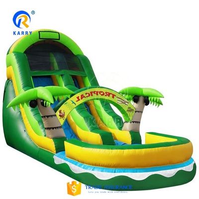 Outdoor Children's Toys Inflatable Water Slide with Swimming Pool and Digital Printing