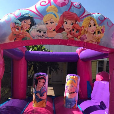 Fantasy Fairytale Princess Castle Bounce House Custom Size for Commercial Rental