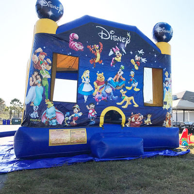 Cartoon Theme Bounce House PVC Inflatable Trampoline Castle for Children CE/EN71/EN14960