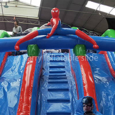 Customized Size Inflatable Water Slide for Outdoor Entertainment and Amusement Park