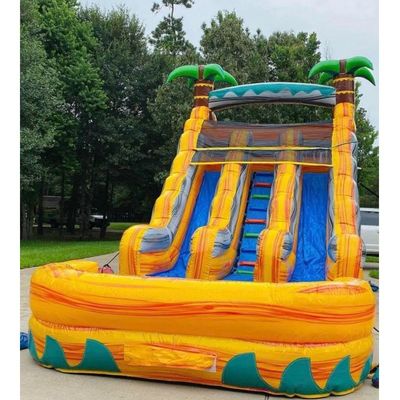 Item Customized Color Inflatable Bouncer Slide with Pool Commercial Grade Water Slide