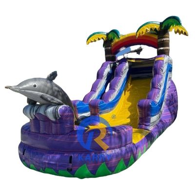 Item Customized Color Inflatable Bouncer Slide with Pool Commercial Grade Water Slide