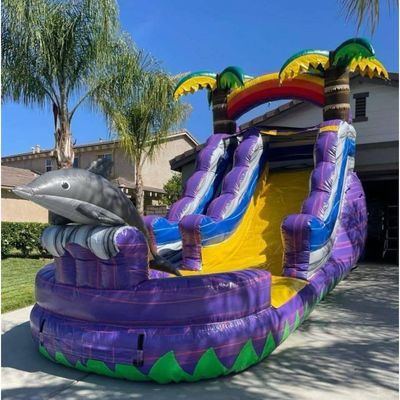 Item Customized Color Inflatable Bouncer Slide with Pool Commercial Grade Water Slide