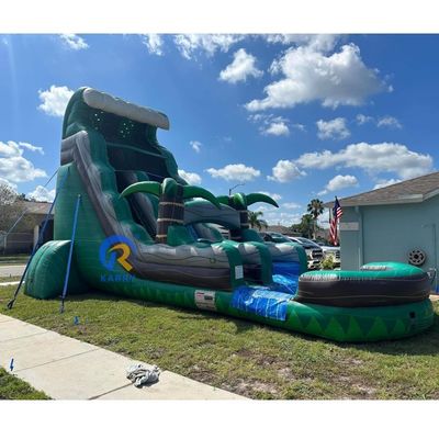 Item Customized Color Inflatable Bouncer Slide with Pool Commercial Grade Water Slide
