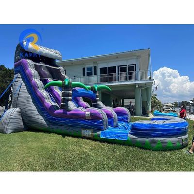 Item Customized Color Inflatable Bouncer Slide with Pool Commercial Grade Water Slide