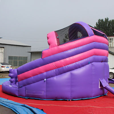Unisex Residential Inflatable Cartoon LOL Wet/Dry Water Slide with Pool and Castle