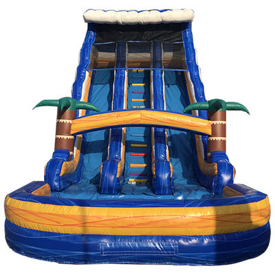 Favorite EN71/EN14960/CE Certified Inflatable Palm Tree Water Slide with Double Slide