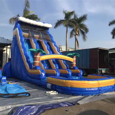Favorite EN71/EN14960/CE Certified Inflatable Palm Tree Water Slide with Double Slide