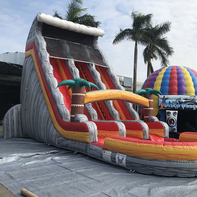 Favorite EN71/EN14960/CE Certified Inflatable Palm Tree Water Slide with Double Slide