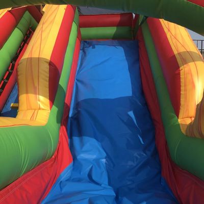 Commercial Occasion Customized Size Inflatable Palm Tree Single Wide Slide with Pool