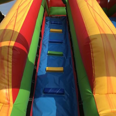 Commercial Occasion Customized Size Inflatable Palm Tree Single Wide Slide with Pool